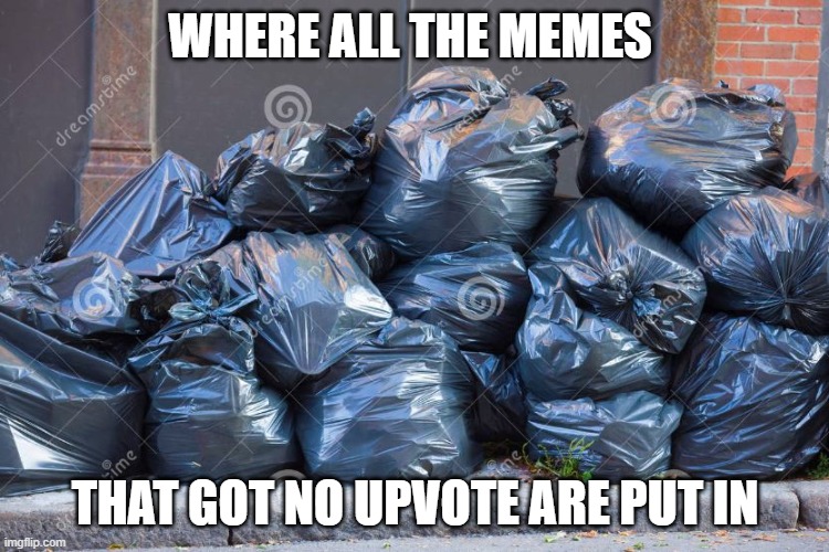 ie11 trash | WHERE ALL THE MEMES; THAT GOT NO UPVOTE ARE PUT IN | image tagged in ie11 trash | made w/ Imgflip meme maker
