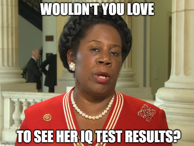 Tell me how bright liberals are again (part 2) | WOULDN'T YOU LOVE; TO SEE HER IQ TEST RESULTS? | image tagged in sheila jackson lee,us representative,democrats,liberals,dimwit,professional victim | made w/ Imgflip meme maker
