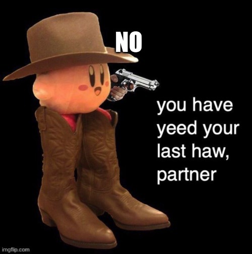 Kirby: you have yee-ed your last haw | NO | image tagged in kirby you have yee-ed your last haw | made w/ Imgflip meme maker