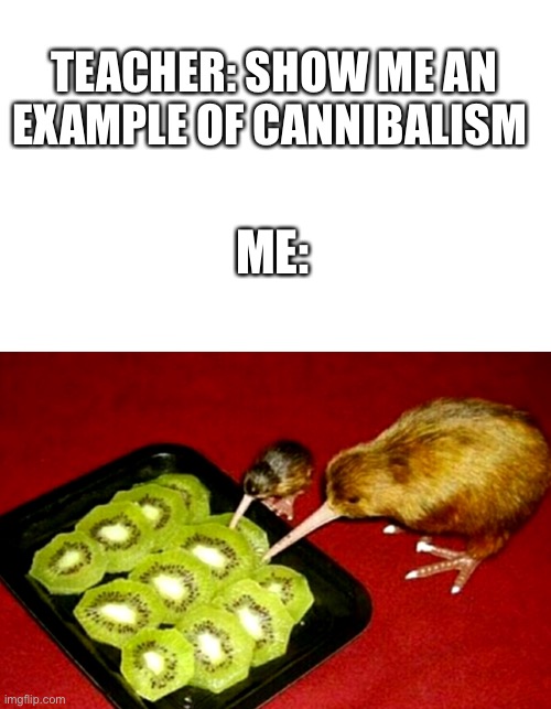 kiwi together strong | TEACHER: SHOW ME AN EXAMPLE OF CANNIBALISM; ME: | image tagged in kiwi,bird,cannibalism | made w/ Imgflip meme maker