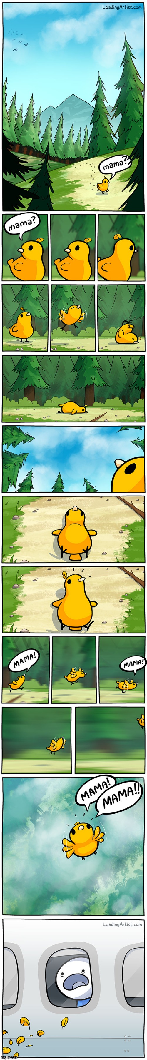 that duckling really flew in the air for his mama Rest in pepperoni chief (RIP) | made w/ Imgflip meme maker