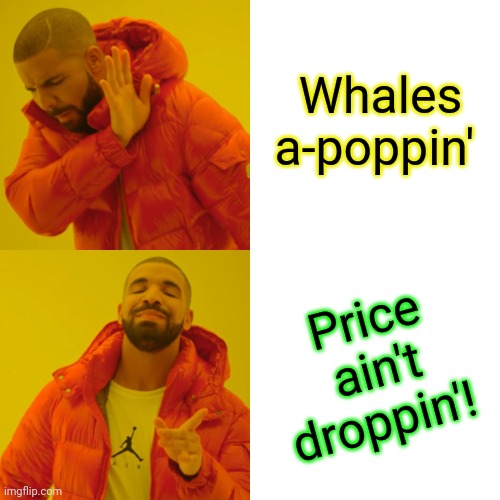 Whales a-poppin' Price ain't droppin'! | image tagged in memes,drake hotline bling | made w/ Imgflip meme maker