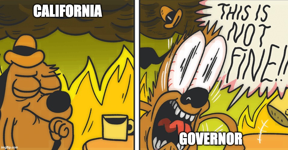 This is not fine | CALIFORNIA GOVERNOR | image tagged in this is not fine | made w/ Imgflip meme maker