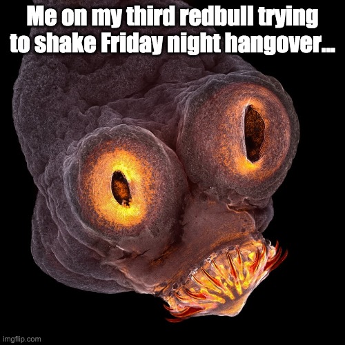 Redbull buxxing | Me on my third redbull trying to shake Friday night hangover... | image tagged in energy drinks | made w/ Imgflip meme maker