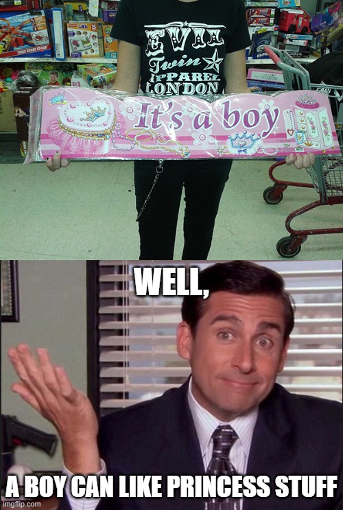 WELL, A BOY CAN LIKE PRINCESS STUFF | image tagged in michael scott,no no hes got a point | made w/ Imgflip meme maker