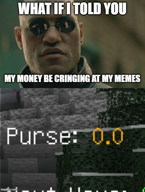 www.hypixel.net (skyblock) | WHAT IF I TOLD YOU; MY MONEY BE CRINGING AT MY MEMES | image tagged in memes,matrix morpheus | made w/ Imgflip meme maker