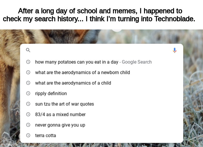 Oh gosh | After a long day of school and memes, I happened to check my search history... I think I'm turning into Technoblade. | image tagged in technoblade | made w/ Imgflip meme maker