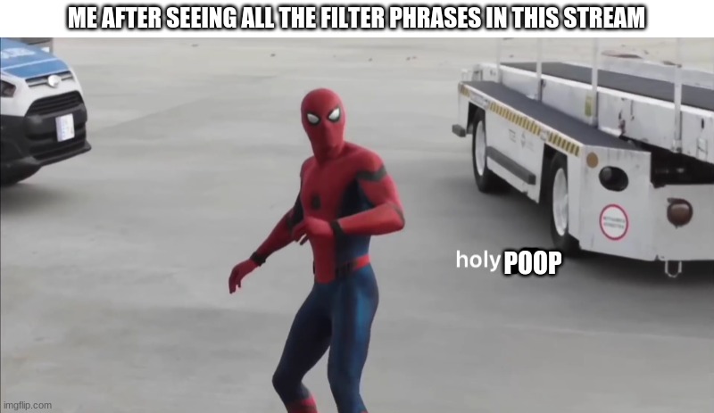 HOLY POOP | ME AFTER SEEING ALL THE FILTER PHRASES IN THIS STREAM; POOP | made w/ Imgflip meme maker