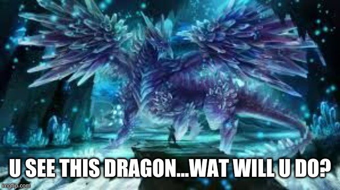 U SEE THIS DRAGON...WAT WILL U DO? | image tagged in run | made w/ Imgflip meme maker