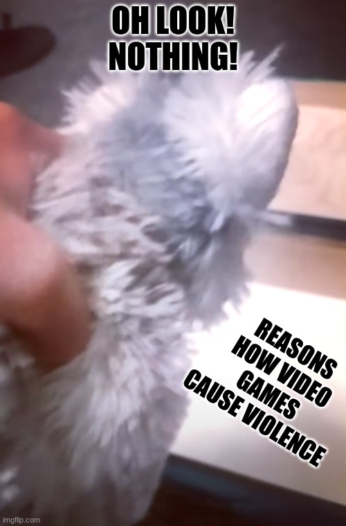 My first template to feature MY PLUSH | OH LOOK! NOTHING! REASONS HOW VIDEO GAMES CAUSE VIOLENCE | image tagged in ooh look nothing | made w/ Imgflip meme maker