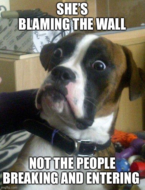 Blankie the Shocked Dog | SHE’S BLAMING THE WALL NOT THE PEOPLE BREAKING AND ENTERING | image tagged in blankie the shocked dog | made w/ Imgflip meme maker