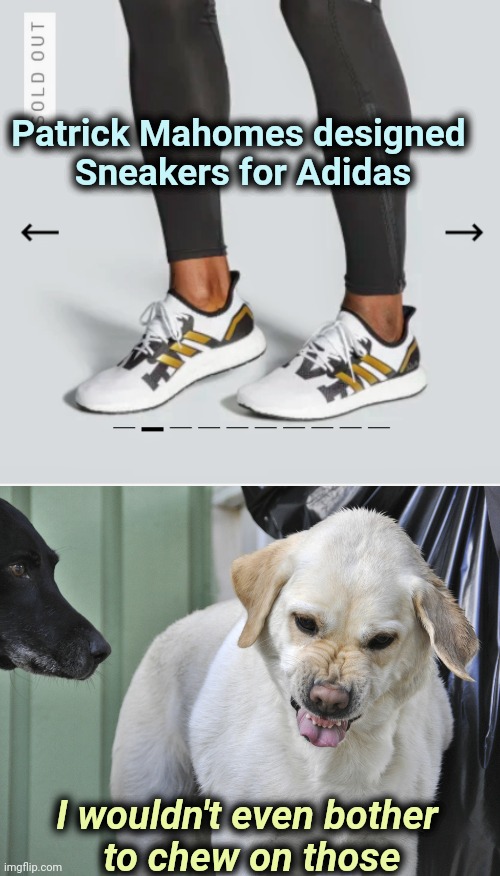 You better run | Patrick Mahomes designed 
Sneakers for Adidas; I wouldn't even bother
 to chew on those | image tagged in bad taste mouth dog,sneakers,what happened,fugly,old school | made w/ Imgflip meme maker