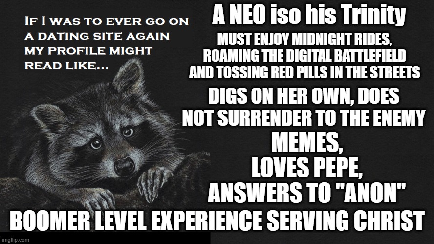 How the times have changed... | A NEO iso his Trinity; MUST ENJOY MIDNIGHT RIDES, ROAMING THE DIGITAL BATTLEFIELD AND TOSSING RED PILLS IN THE STREETS; DIGS ON HER OWN, DOES NOT SURRENDER TO THE ENEMY; MEMES, LOVES PEPE, ANSWERS TO "ANON"; BOOMER LEVEL EXPERIENCE SERVING CHRIST | image tagged in the great awakening,wwg1wga,dark to light,qanon | made w/ Imgflip meme maker
