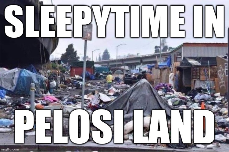 California cities | SLEEPYTIME IN PELOSI LAND | image tagged in california cities | made w/ Imgflip meme maker