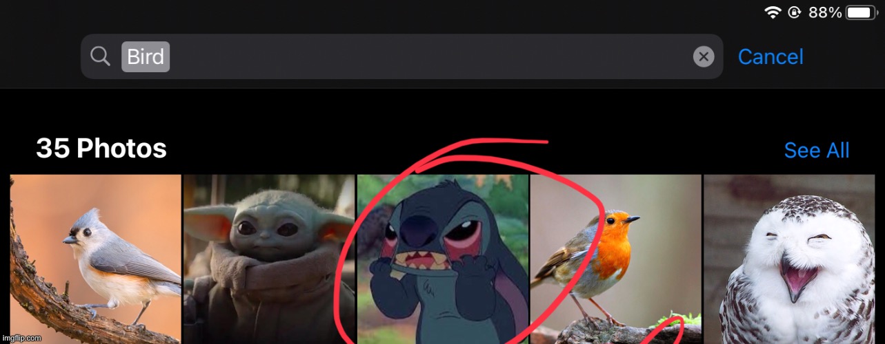 Stitch is a bird now lol (Woomy note: and baby yoda lol) | made w/ Imgflip meme maker