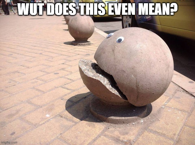 Wait . . . WUT? | WUT DOES THIS EVEN MEAN? | image tagged in wait wut | made w/ Imgflip meme maker