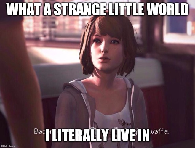 What a strange little world I literally live in | WHAT A STRANGE LITTLE WORLD; I LITERALLY LIVE IN | image tagged in life is strange,playstation,pc gaming,xbox one,mature,european | made w/ Imgflip meme maker