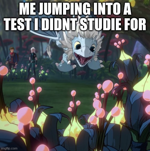 Zym noooo | ME JUMPING INTO A TEST I DIDN'T STUDY FOR | image tagged in dragon prince | made w/ Imgflip meme maker