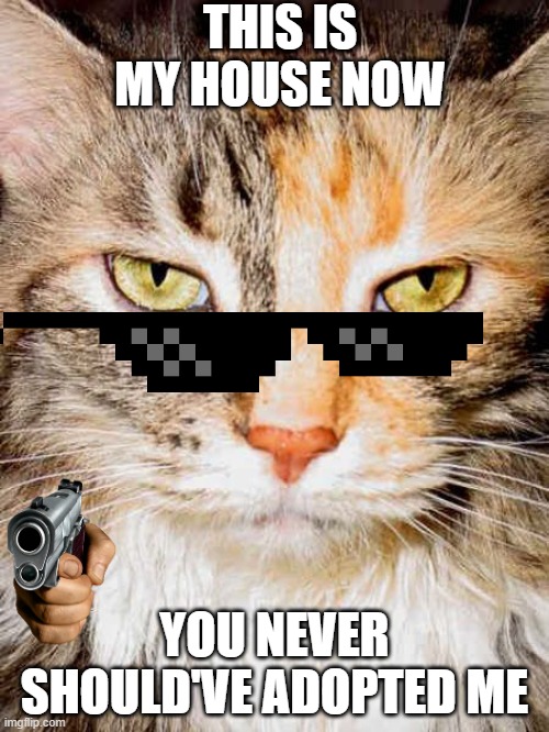 This is my house | THIS IS MY HOUSE NOW; YOU NEVER SHOULD'VE ADOPTED ME | image tagged in house | made w/ Imgflip meme maker