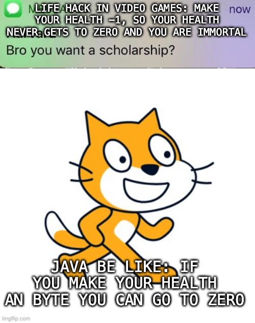 LIFE HACK IN VIDEO GAMES: MAKE YOUR HEALTH -1, SO YOUR HEALTH NEVER GETS TO ZERO AND YOU ARE IMMORTAL JAVA BE LIKE: IF YOU MAKE YOUR HEALTH  | image tagged in harvard scholarship,scratch cat | made w/ Imgflip meme maker
