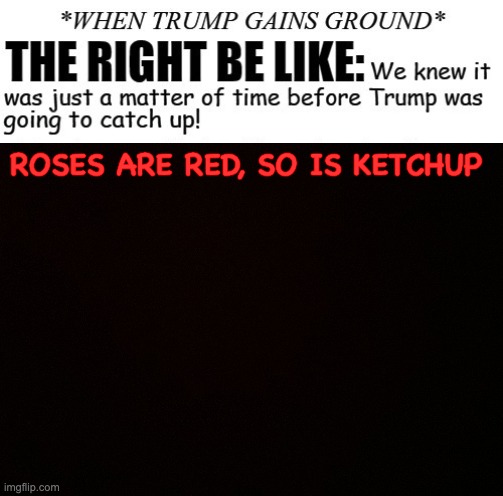 ROSES ARE RED, SO IS KETCHUP | made w/ Imgflip meme maker