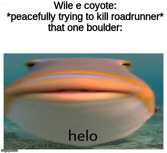 o helo der | Wile e coyote: *peacefully trying to kill roadrunner*

that one boulder: | image tagged in helo fish | made w/ Imgflip meme maker