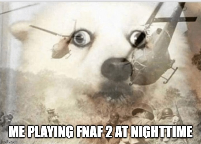 which im doing right now | ME PLAYING FNAF 2 AT NIGHTTIME | image tagged in ptsd dog | made w/ Imgflip meme maker