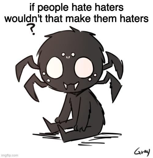 the hate the haters who are hating them | if people hate haters wouldn't that make them haters | image tagged in spidr | made w/ Imgflip meme maker