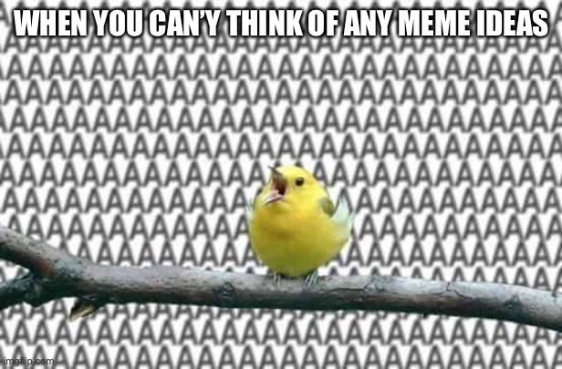 Bird yelling AAAAAAA | WHEN YOU CAN’Y THINK OF ANY MEME IDEAS | image tagged in bird yelling aaaaaaa | made w/ Imgflip meme maker