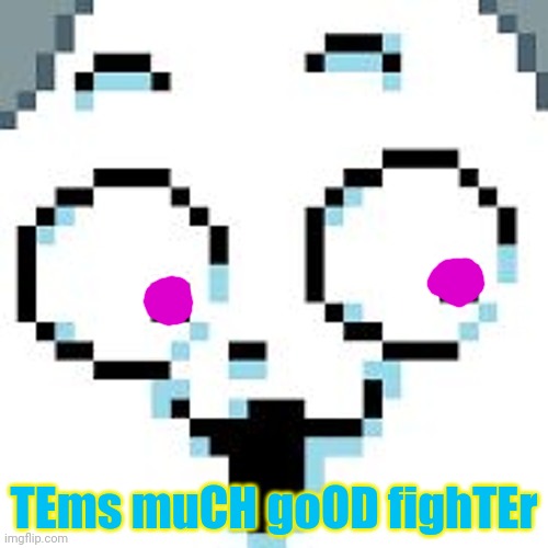 tEMMIE  | TEms muCH goOD fighTEr | image tagged in temmie | made w/ Imgflip meme maker