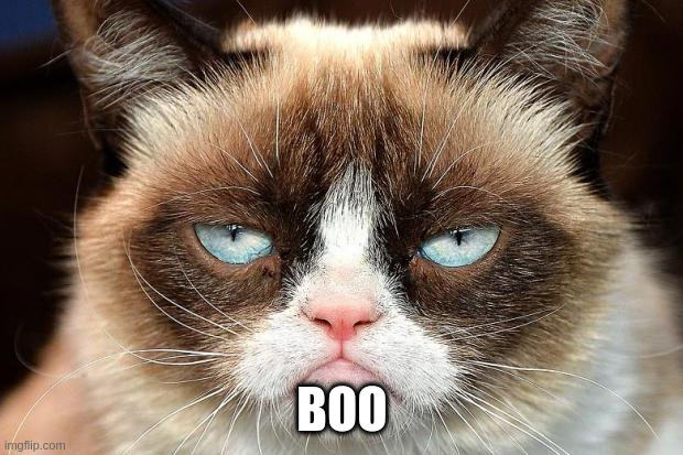 Grumpy Cat Not Amused Meme | BOO | image tagged in memes,grumpy cat not amused,grumpy cat | made w/ Imgflip meme maker