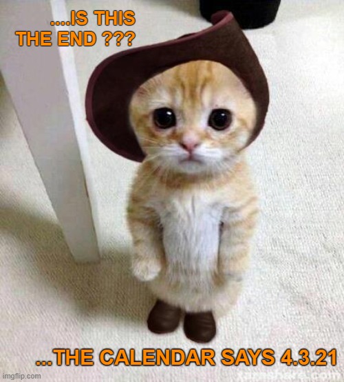 The real prophecy ??? |  ....IS THIS THE END ??? ...THE CALENDAR SAYS 4.3.21 | image tagged in cute cat,funny,meme,prophecy,the end is near,the end | made w/ Imgflip meme maker