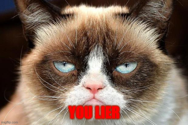 Grumpy Cat Not Amused Meme | YOU LIER | image tagged in memes,grumpy cat not amused,grumpy cat | made w/ Imgflip meme maker