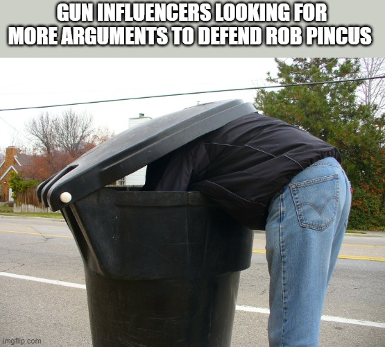 Watching Anime | GUN INFLUENCERS LOOKING FOR MORE ARGUMENTS TO DEFEND ROB PINCUS | image tagged in watching anime | made w/ Imgflip meme maker