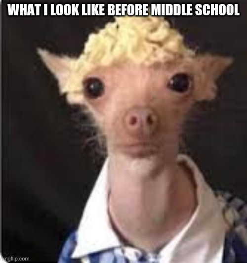WHAT I LOOK LIKE BEFORE MIDDLE SCHOOL | made w/ Imgflip meme maker