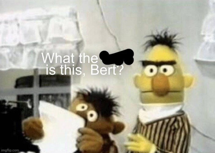 what the fuck is this, bert | image tagged in what the fuck is this bert | made w/ Imgflip meme maker