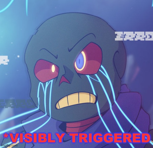 Error Sans Visibly Triggered | image tagged in error sans visibly triggered | made w/ Imgflip meme maker