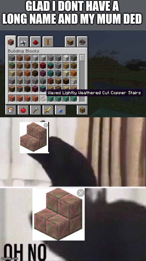 Bruh imagine naming your kid that lol | GLAD I DONT HAVE A LONG NAME AND MY MUM DED | image tagged in waxed lightly weathered cut copper stairs,oh no cat | made w/ Imgflip meme maker