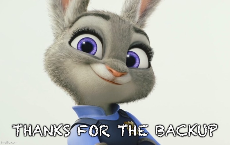 Judy Hopps | THANKS FOR THE BACKUP | image tagged in judy hopps | made w/ Imgflip meme maker