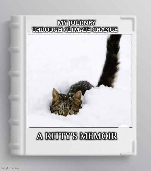 Don't buy the BS | MY JOURNEY THROUGH CLIMATE CHANGE; A KITTY'S MEMOIR | image tagged in climate change,hoax,kitty,the more you know | made w/ Imgflip meme maker