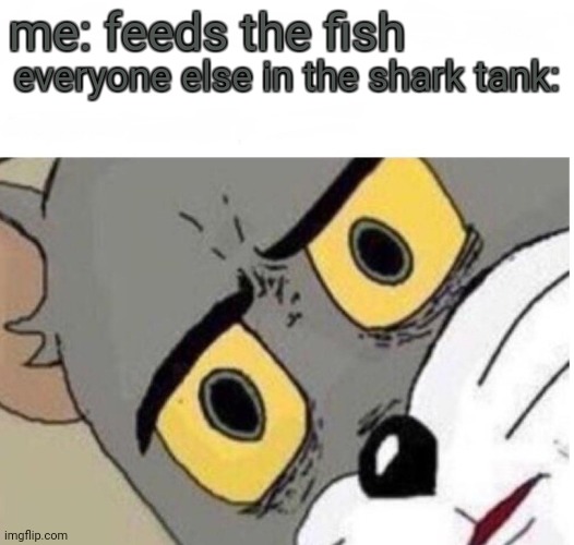 sharki boi | me: feeds the fish; everyone else in the shark tank: | image tagged in confused tom,shark | made w/ Imgflip meme maker