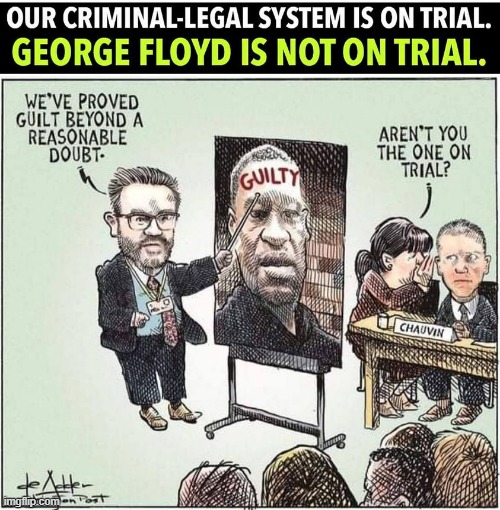 George Floyd trial | image tagged in george floyd trial | made w/ Imgflip meme maker