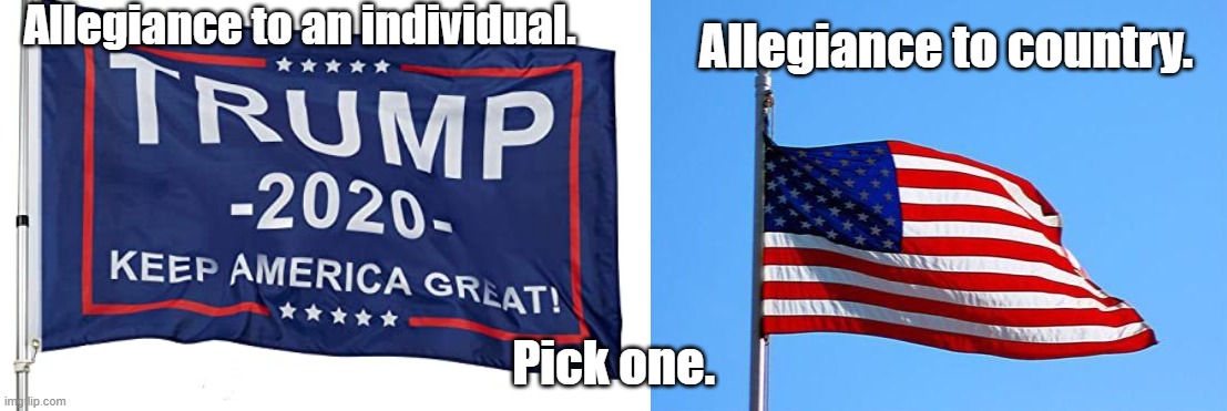 Allegiance to an individual. Allegiance to country. Pick one. | image tagged in flags of defeat,american flag | made w/ Imgflip meme maker