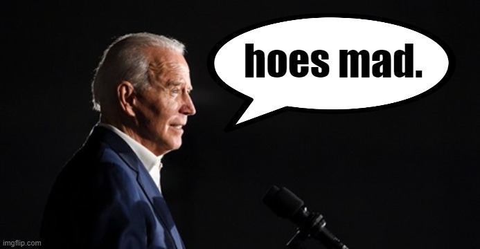 Joe Biden hoes mad textbox Blank Meme Template