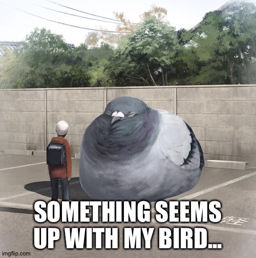 Beeg Birb | SOMETHING SEEMS UP WITH MY BIRD... | image tagged in beeg birb | made w/ Imgflip meme maker