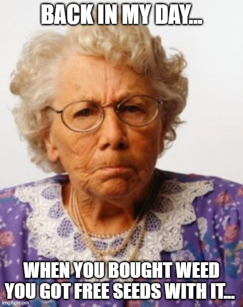 Angry Old Woman | BACK IN MY DAY... WHEN YOU BOUGHT WEED YOU GOT FREE SEEDS WITH IT... | image tagged in angry old woman | made w/ Imgflip meme maker