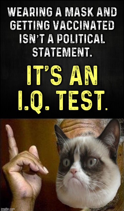 Don't piss off the grumpyMorganFreemanCat. Get vaxxed today! | image tagged in mask vaccinated iq test,morgan freeman cat he's right you know,iq,test,vaccines,face mask | made w/ Imgflip meme maker