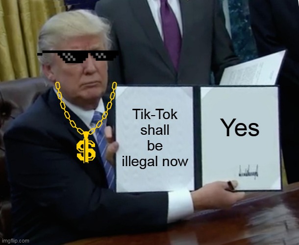 Trump Bill Signing Meme | Tik-Tok shall be illegal now; Yes | image tagged in memes,trump bill signing | made w/ Imgflip meme maker