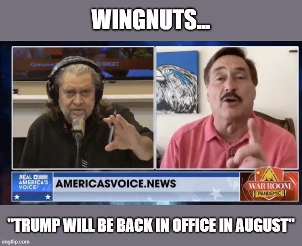 Q'anon followers get their newest deadline date from 'Mike the Pillow Man' | WINGNUTS... "TRUMP WILL BE BACK IN OFFICE IN AUGUST" | image tagged in steve bannon,mike lindell,election 2020,trump,q'anon,bs | made w/ Imgflip meme maker