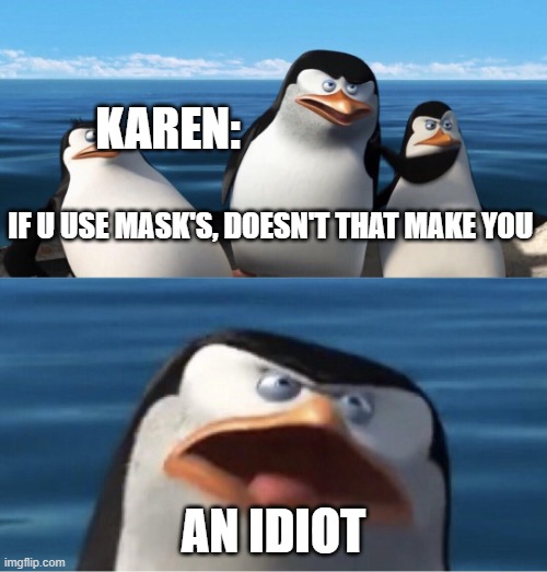 KAREN | KAREN:; IF U USE MASK'S, DOESN'T THAT MAKE YOU; AN IDIOT | image tagged in wouldn't that make you,mask,idiot,karen | made w/ Imgflip meme maker